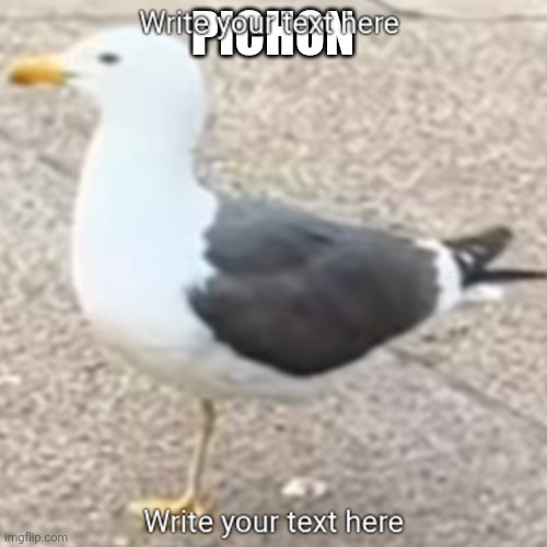 33557 meme