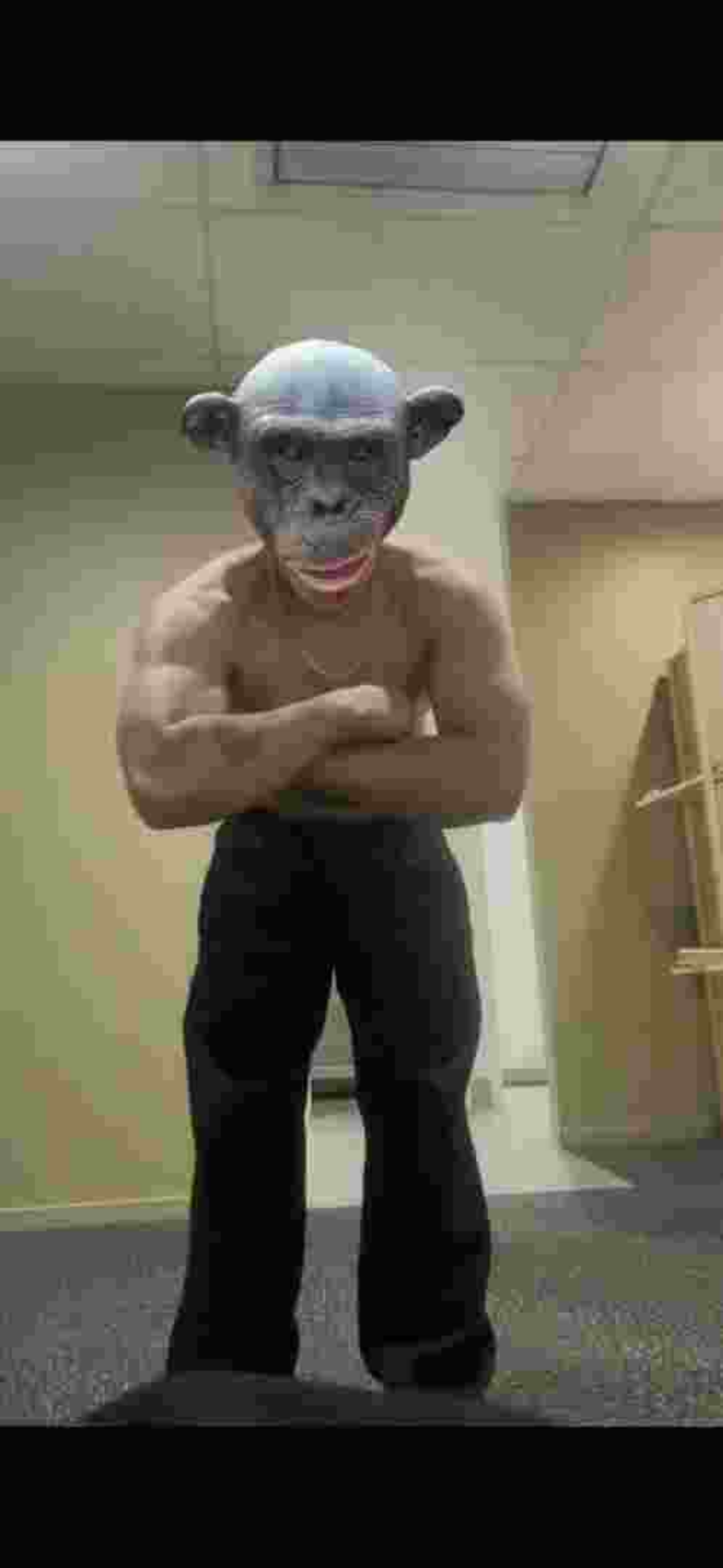 ME WHEN - CHIMP
